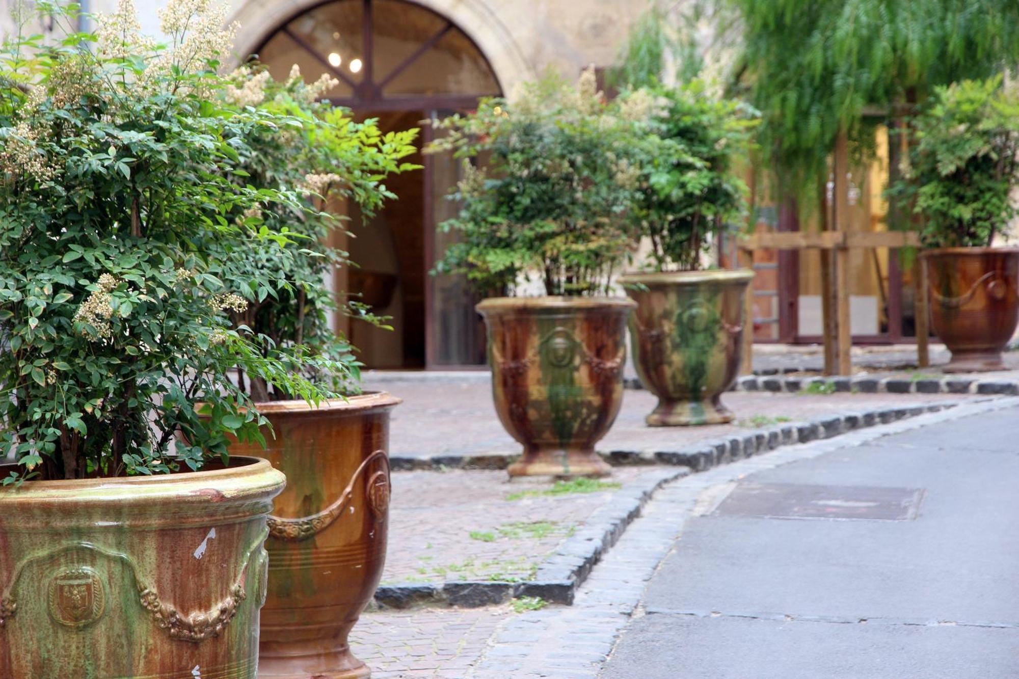 Le Jardin Secret - Balneo & Spa Montpellier Extérieur photo